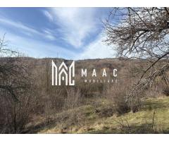 Teren  extravilan I 5300 mpI  Salatrucel -Calimanesti - Imagine 4