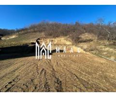 Teren intravilan 1.640 mp | Deschidere 17ml | Utilități | Cisnădioara - Imagine 6