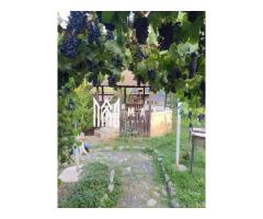 Teren Intravilan | 634 MP | Livada | Cisnadie - Imagine 6