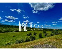 Teren cu potențial turistic I Valea Avrigului I 2900 MP - Imagine 2