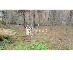 Teren Intravilan | 2000Mp |  Valea Avrigului - Imagine 6