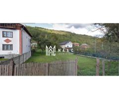 Teren Intravilan 10.000 mp | Livadă + Pădure de salcâm | Bărbătești