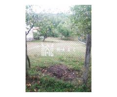 Teren Intravilan 10.000 mp | Livadă + Pădure de salcâm | Bărbătești - Imagine 6