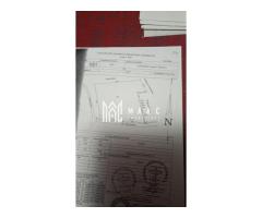 Teren | Copacelu | 1750 mp | Eftimestilor - Imagine 8