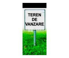 Teren extravilan | Industrial Vest | 5300 MP | Acces direct - Imagine 2