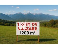 Teren Intravilan I Cârțișoara I 1200 MP