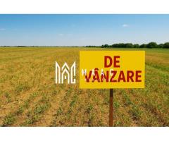 Teren | Extravilan |  2.269 MP | Daia