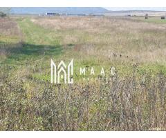 Teren Intravilan | 3.900 Mp Talmaciu |