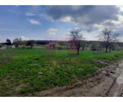 GIURGIU - SE VINDE TEREN 3400 MP IN SAT PODU ILFOVATULUI - Imagine 7