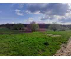 GIURGIU - SE VINDE TEREN 3400 MP IN SAT PODU ILFOVATULUI - Imagine 10