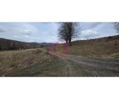 Teren intravilan 2200 mp de vanzare in Valea Doftanei - Imagine 5