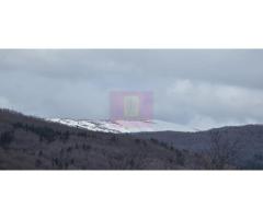 Teren intravilan 2200 mp de vanzare in Valea Doftanei - Imagine 7