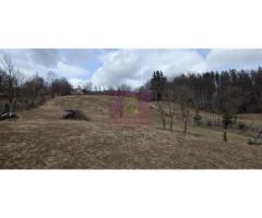 Teren intravilan de vanzare in Valea Doftanei - Imagine 4