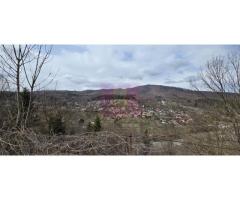 Teren intravilan de vanzare in Valea Doftanei - Imagine 8