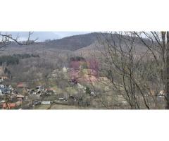 Teren intravilan de vanzare in Valea Doftanei - Imagine 10