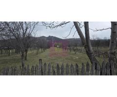 Teren 734 mp intravilan de vanzare in Brebu - Imagine 8