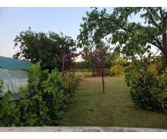 GIURGIU - SE VINDE CASA (5 CAM) COM. ROATA DE JOS - Imagine 4
