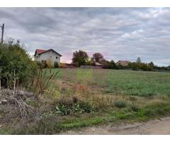 COSERENI (IL) - SE VINDE TEREN 2000 MP LA SOS BUCURESTI -URZICENI - Imagine 5