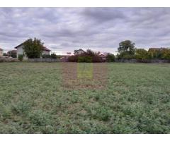 COSERENI (IL) - SE VINDE TEREN 2000 MP LA SOS BUCURESTI -URZICENI - Imagine 10