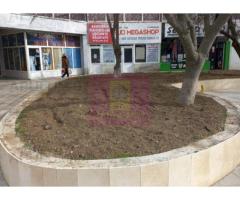 ALEXANDRIA (TR) - SE VINDE SPATIU COMERCIAL LANGA PARCUL CENTRAL - Imagine 7