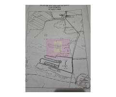 Teren 6,26 ha lângă DEx12 Pitești - Imagine 5