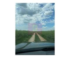 Teren 6,26 ha lângă DEx12 Pitești - Imagine 11
