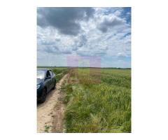Teren 6,26 ha lângă DEx12 Pitești - Imagine 12