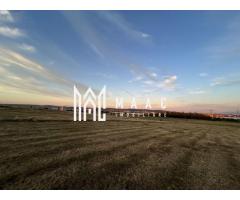 Teren Intravilan  I 16500 MP |  Priveliște Panoramică | Turnișor