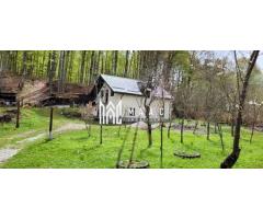Casa 4 Camere | 600 MP Teren | Avrig