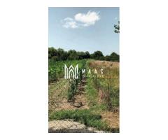 Vand teren intravilan | 1.638 mp | Bungard - Imagine 3