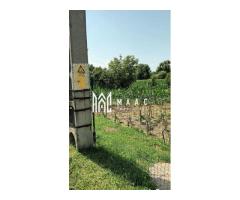 Vand teren intravilan | 1.638 mp | Bungard - Imagine 4