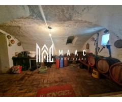 Casa 6 camere I 250MPU | 867MP Teren | Turnisor - Imagine 9