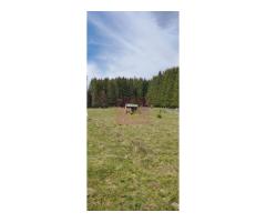Teren intravilan 2500 mp in Valea Doftanei - Imagine 3