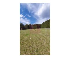 Teren intravilan 2500 mp in Valea Doftanei - Imagine 5