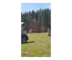 Teren intravilan 2500 mp in Valea Doftanei - Imagine 6