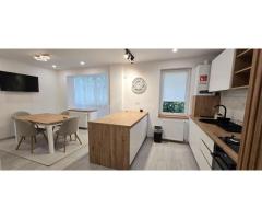 Apartament cu 3 camere Tudor etaj 2 prima închiriere - Imagine 4