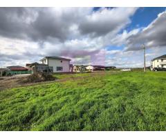 Casă individuală zona București-Ilfov în Măgurele aproape de pădure - Imagine 9