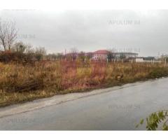 Teren Soseaua Alexandriei- Pasarela Bragadiru.