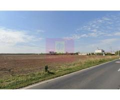Teren extravilan de vanzare DN1 Paulesti (zona Movila Vulpii) - Imagine 2