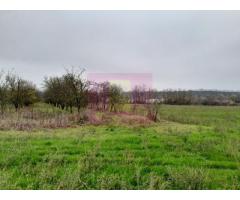 BARCANESTI (IL) - SE VINDE CASA + TEREN 16K MP - Imagine 12