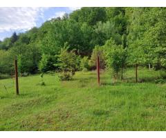 BEREVOIESTI (AG) SE VINDE TEREN 834 MP IN zona Pastravaria Rausor - Imagine 4