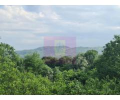 Vila de vanzare cu 6 camere in Cornu (teren 6.600 mp) - Imagine 3