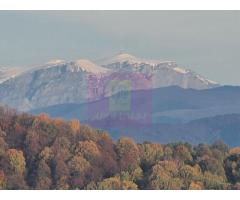 Teren intravilan de vanzare in Telega - Imagine 2
