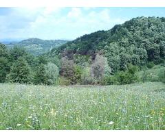 Teren intravilan de vanzare in Telega - Imagine 7