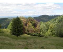 Teren intravilan de vanzare in Telega - Imagine 9