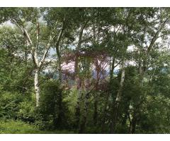 Teren intravilan de vanzare in Telega - Imagine 10