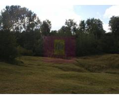 Teren intravilan de vanzare in Telega - Imagine 11