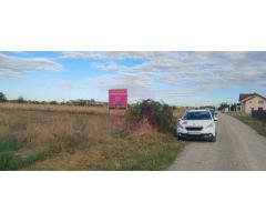 Gulia teren 11.157 mp, lângă Pădurea Cereanca - Imagine 4
