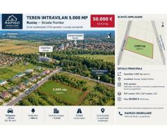Teren intravilan 5.000 mp | PUZ | Buziaș |10 mp - Imagine 3