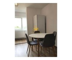 2 camere decomandate, UMF, Zorilor, Profi, Golden Tuliip, UTCN - Imagine 5